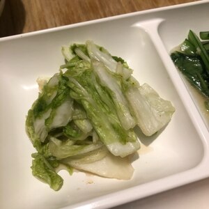 即席！こんぶだしで【白菜の浅漬け】